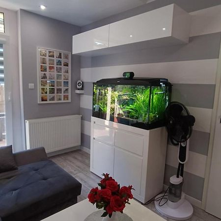 Apartament Rodzinny Z Ogrodkiem W Centrum Gizycka Giżycko Kültér fotó